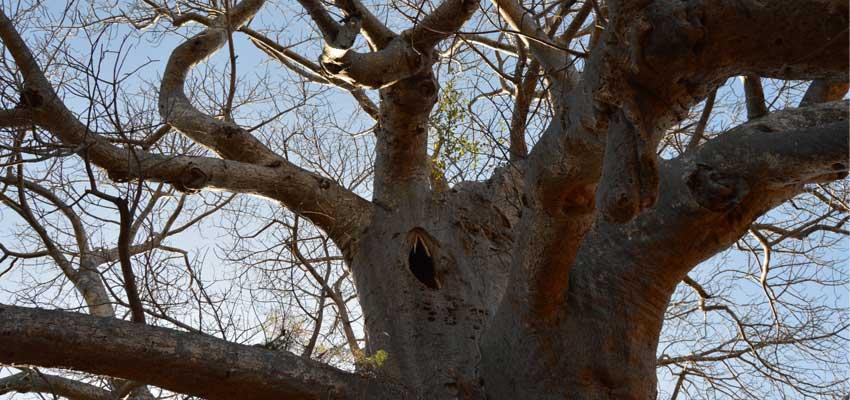 You are currently viewing Gravelotte